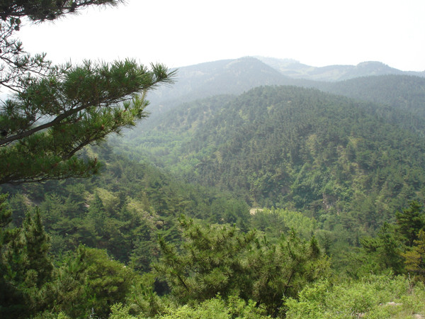 鋼城區(萊蕪市鋼城區)