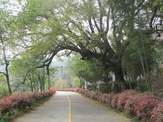 珍珠山鄉