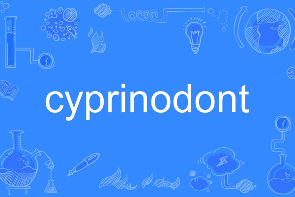 cyprinodont