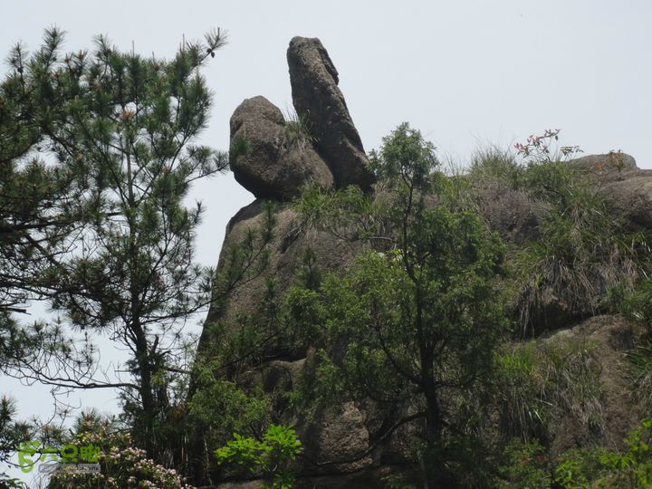 白沙嶺古道