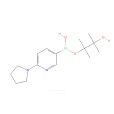 6-（1-吡咯烷並）吡啶-3-硼酸頻哪醇酯