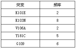 奈韋拉平片