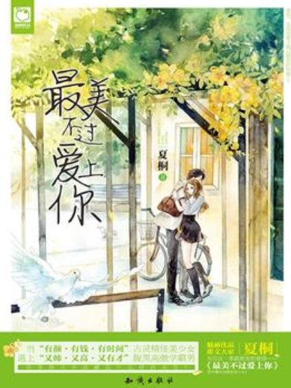 最美不過愛上你(夏桐所著小說)