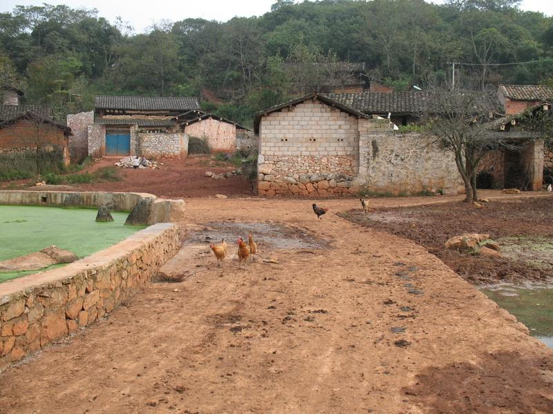 馬嘎村(雲南文山州丘北縣曰者鎮下轄村)