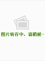 工程建設若干違法違紀行為處罰辦法