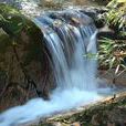 雞峰山森林公園