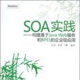 SOA實踐—構建基於JavaWeb服務和BPEL的企業級套用(SOA實踐)