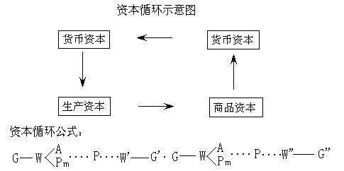 資本循環