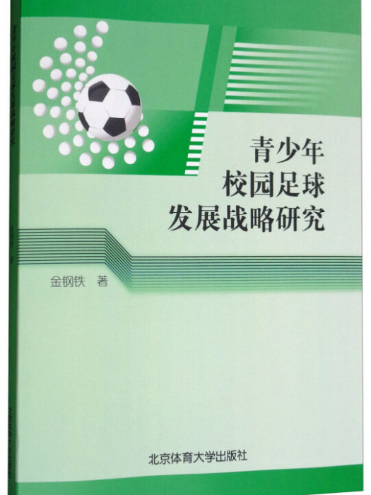 青少年校園足球發展戰略研究