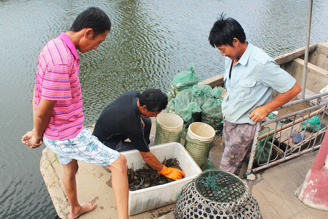 陡湖盛產魚蝦