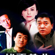 真情如夢(決不妥協（2009年何冰、王志文、王琳主演的電影）)