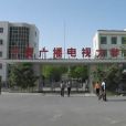 電大學生就業