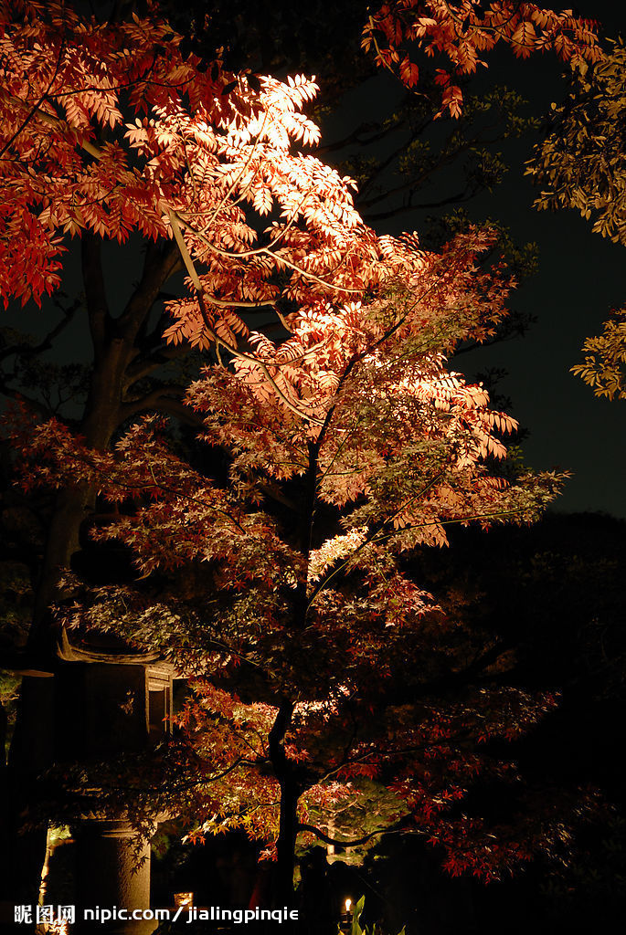 秋夜宿龍門香山寺奉寄王方城十七丈奉國瑩上