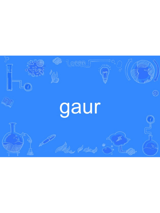 gaur