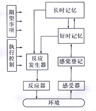 信息加工學習理論