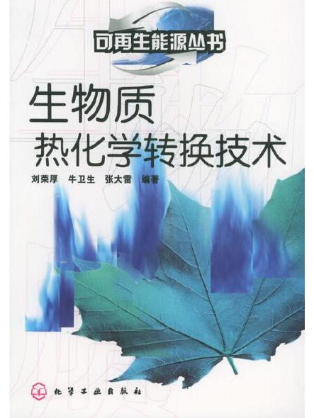 可再生能源叢書——生物質熱化學轉換技術