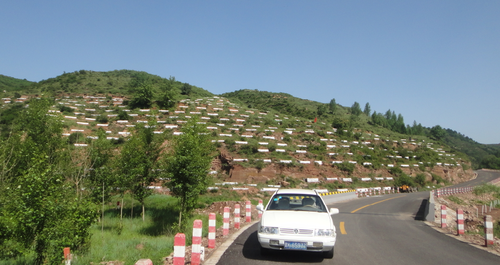 山西省太行山國有林管理局鐵橋林場