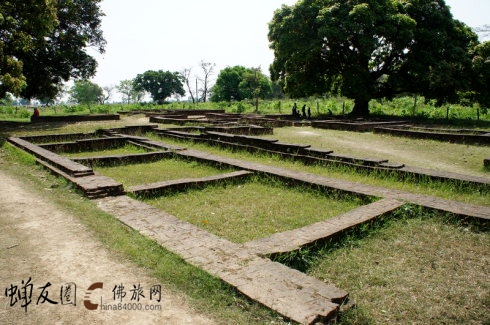 迦毗羅衛城