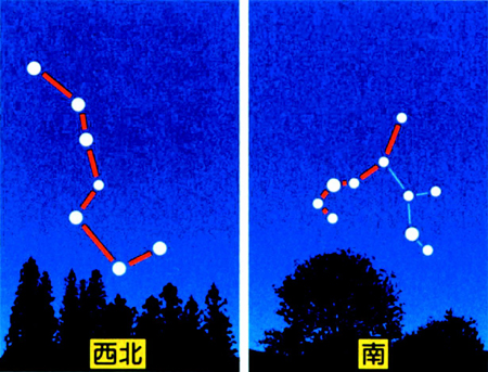 南斗(星名)