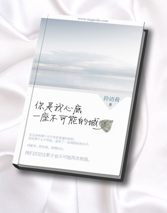 你是我心底一座不可能的城(2014年阾清荷所著圖書)