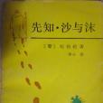 先知沙與沫(1995年湖南文藝出版社出版的圖書)