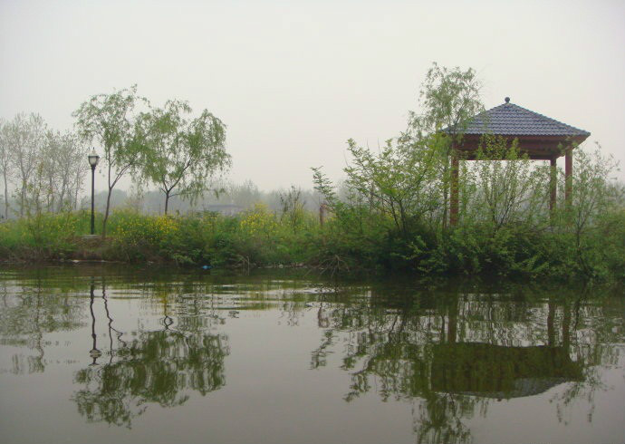 鳥兒洲濕地公園