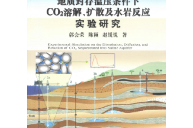 地質封存溫壓條件下CO2溶解、擴散及水岩反應實驗研究