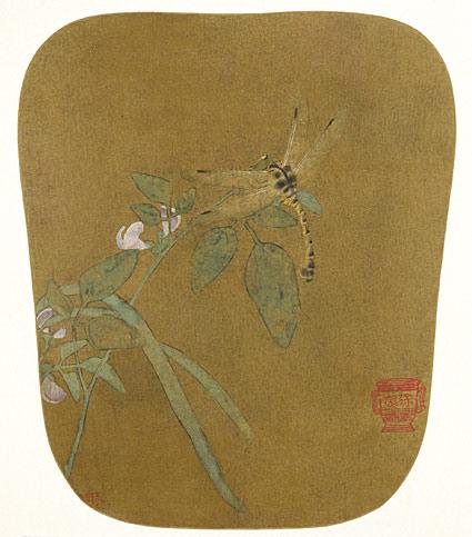 豆莢蜻蜓圖