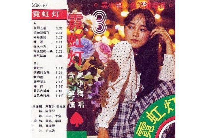 偶遇的女孩(1985年含笑演唱的歌曲)