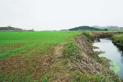 小山口遺址全景圖