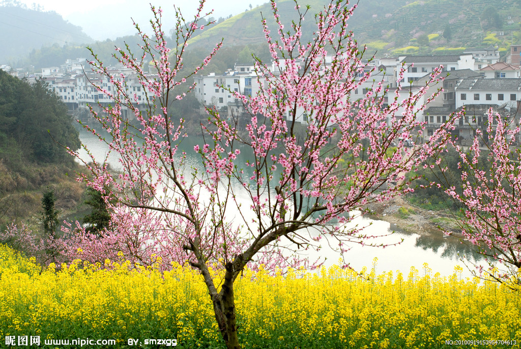 桃花村(雲南省昆明市安寧市連然街道桃花村委會)