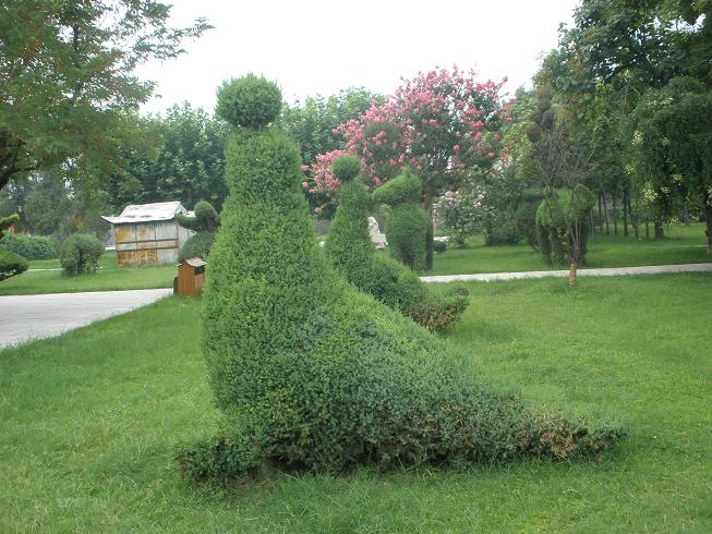 獨秀園(淮陽縣獨秀園)