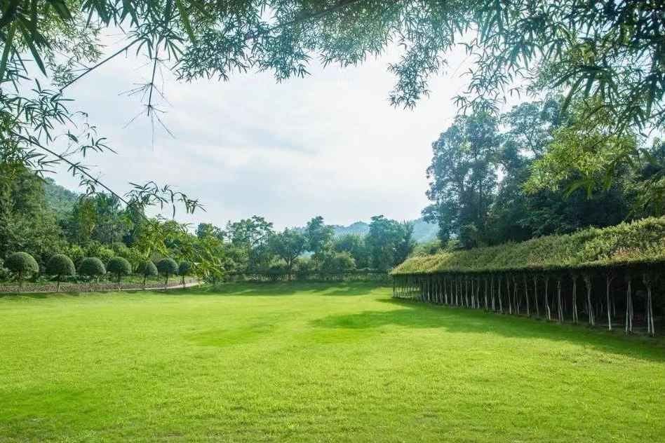 莫乾花谷山地運動公園