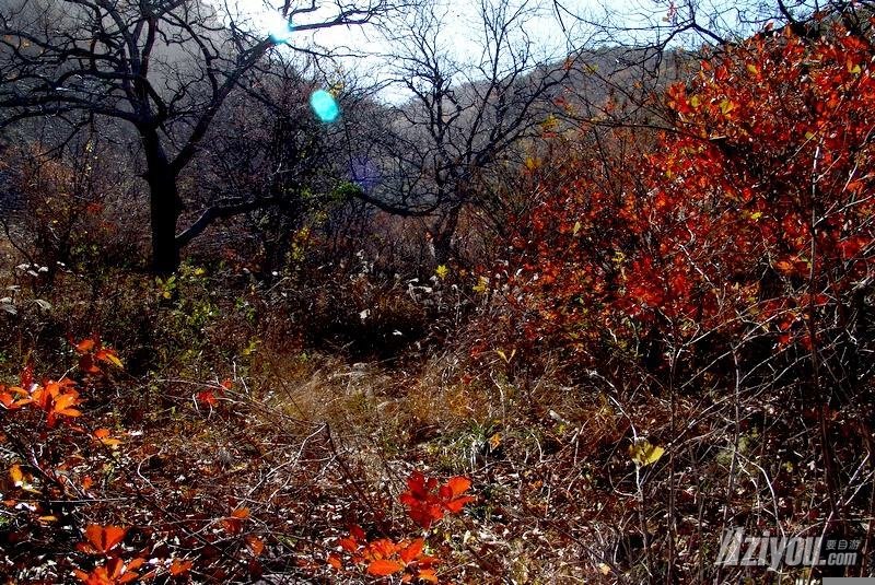 九仙山風景區(福建德化縣九仙山)