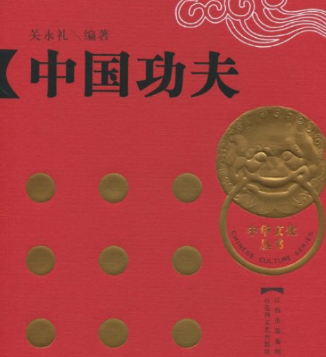 中國功夫(2008年百花洲文藝出版社出版的圖書)