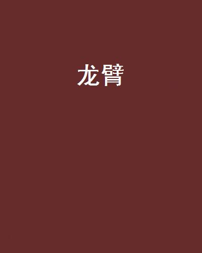 龍臂(小說)