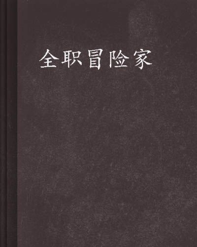 全職冒險家(小說)