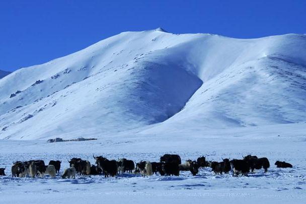 格拉丹東冰雪山