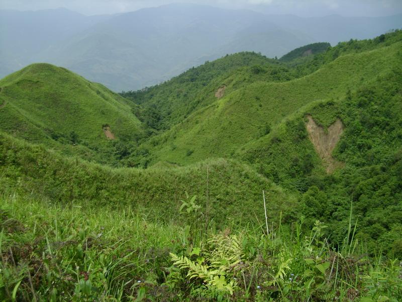 老白寨村