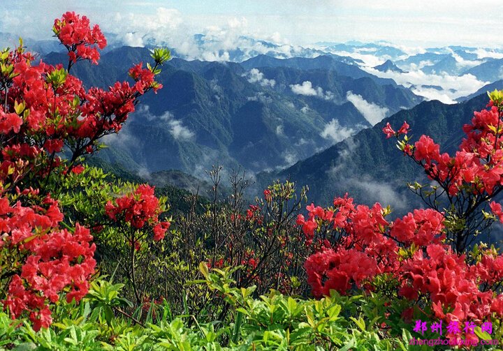 龍泉山(山東省沂水縣龍泉山)