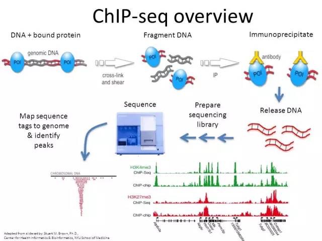 RNA-seq