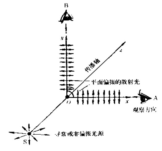 圖1  自然光入射時散射光的光強度示意圖