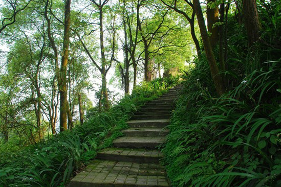 重慶涼風埡森林公園