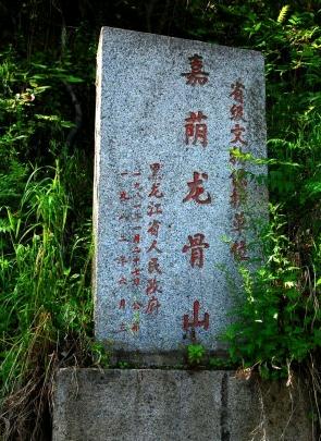 黑龍江嘉蔭恐龍國家地質公園