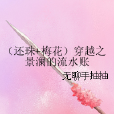 （還珠+梅花）穿越之景瀾的流水賬