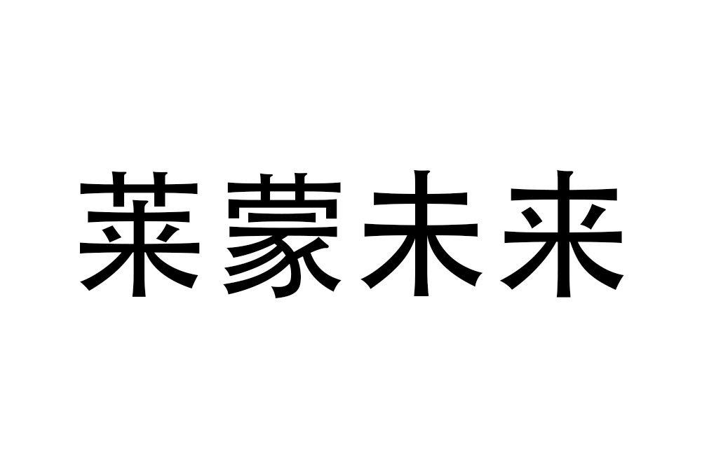 深圳市萊蒙未來科技有限公司