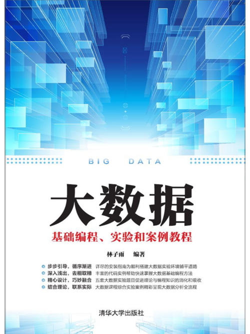 大數據基礎編程、實驗和案例教程