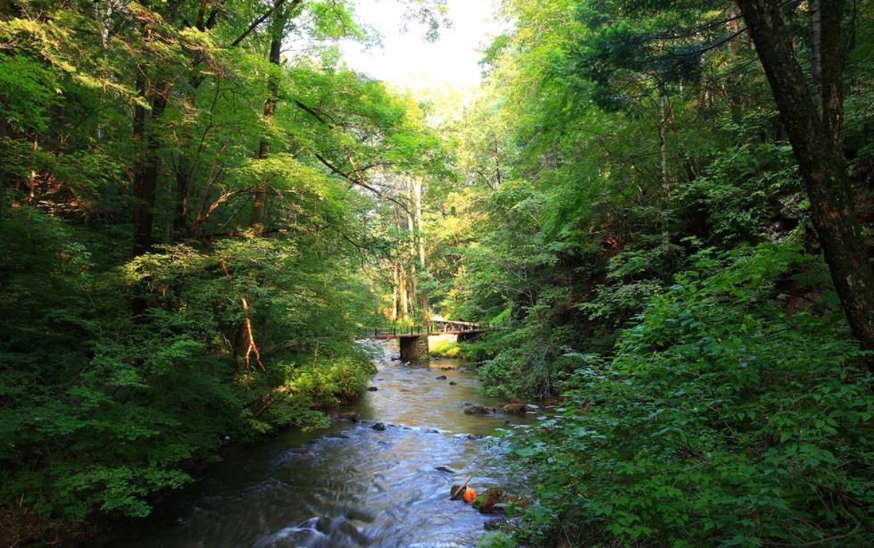 吉林吊水壺國家森林公園