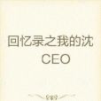 回憶錄之我的沈CEO