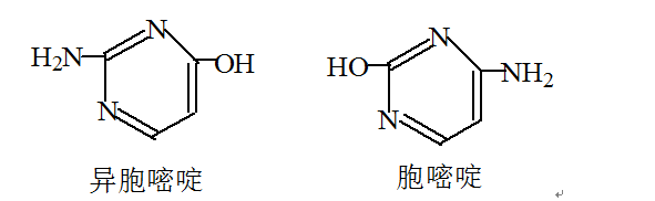 異胞嘧啶